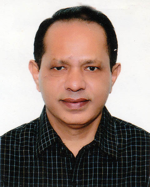 Mohammad Ziaul Ahsan